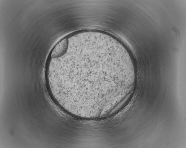 X0000112070932200909011019