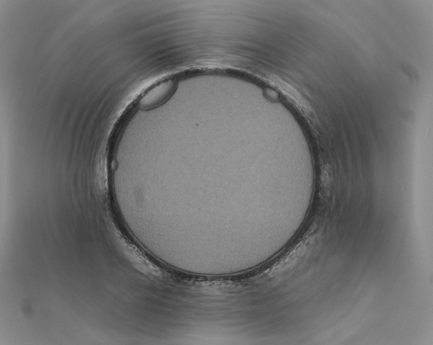 X0000112070934200909011020