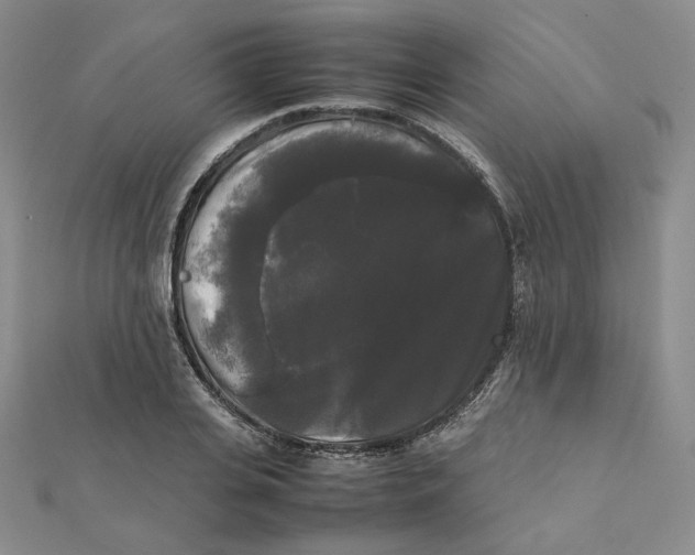 X0000112070935200909011020