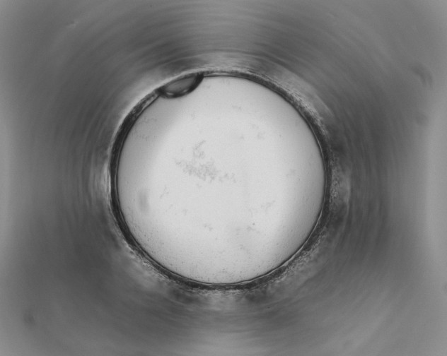 X0000112070936200909011020