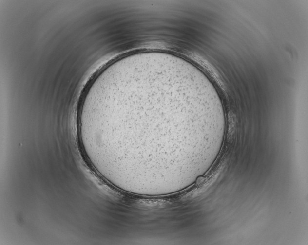 X0000112070939200909011020