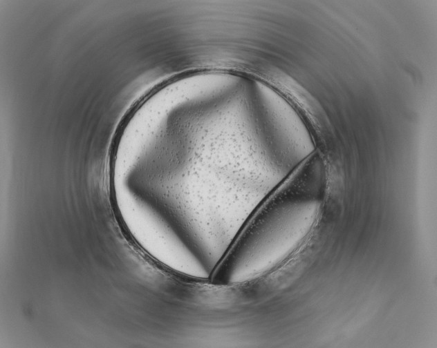 X0000112070940200909011020