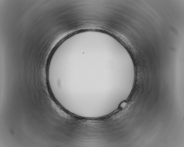 X0000112070942200909011020