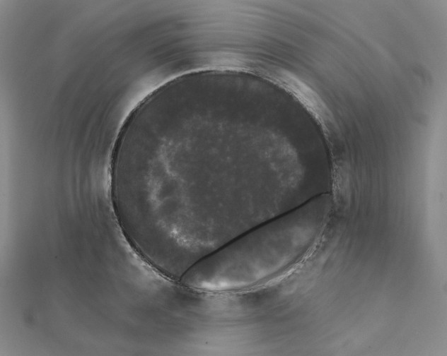 X0000112070944200909011020
