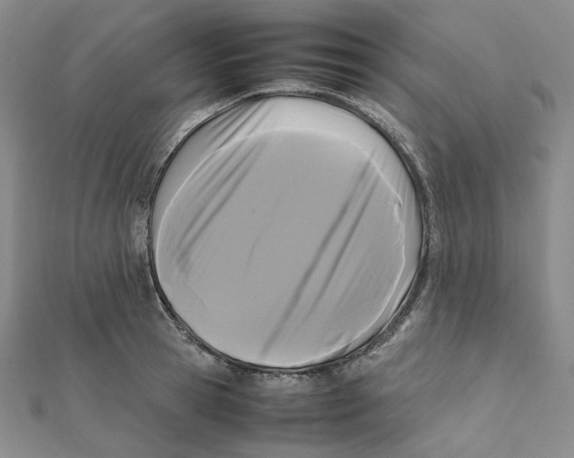 X0000112070945200909011020