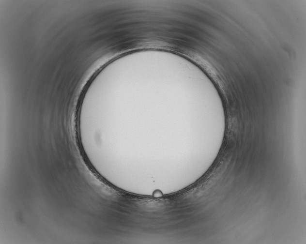 X0000112070947200909011020