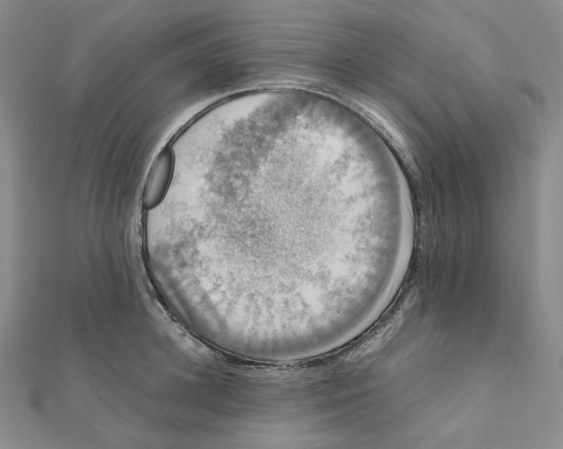 X0000112070948200909011020