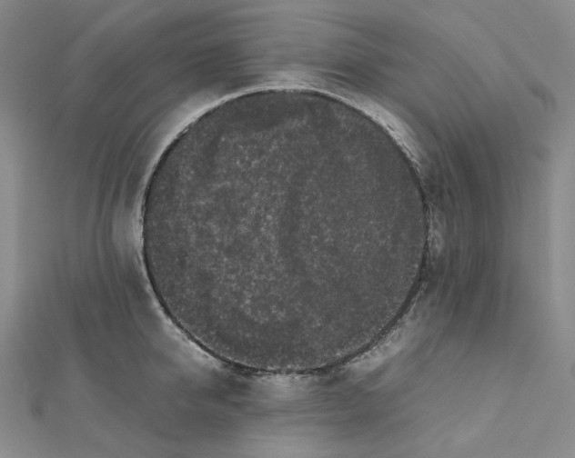 X0000112070950200909011020