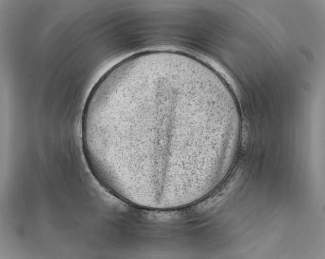 X0000112070951200909011020
