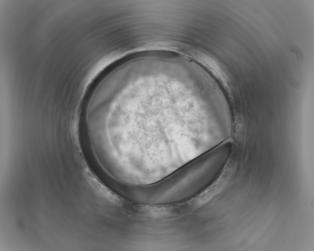 X0000112070952200909011020