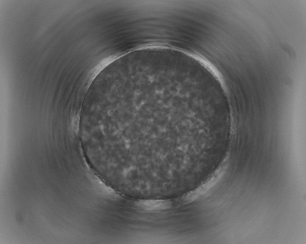 X0000112070953200909011020