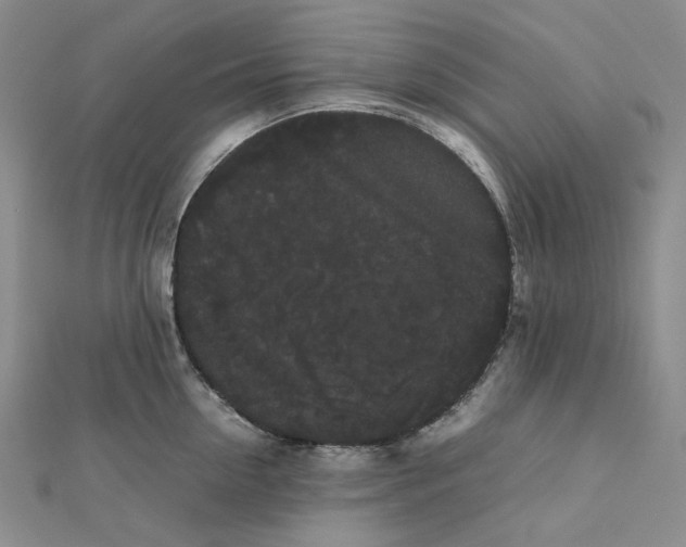 X0000112070954200909011020