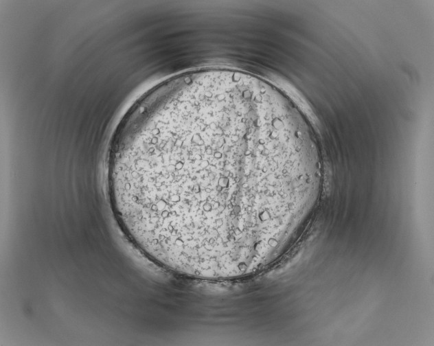 X0000112070955200909011020