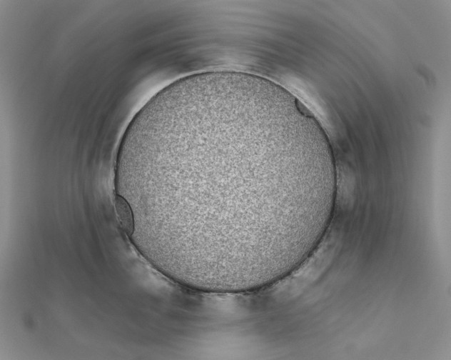 X0000112070956200909011020