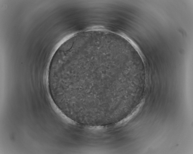 X0000112070957200909011020
