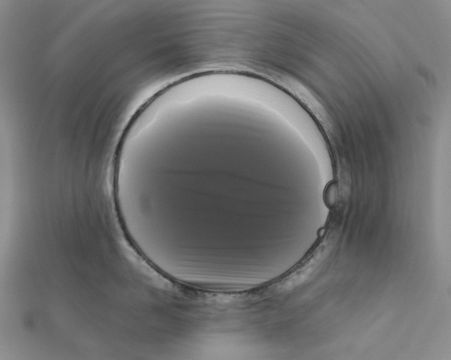 X0000112070958200909011020