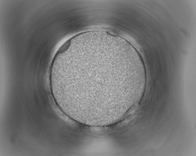 X0000112070960200909011020