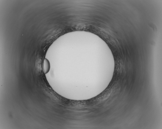 X0000112070962200909011019