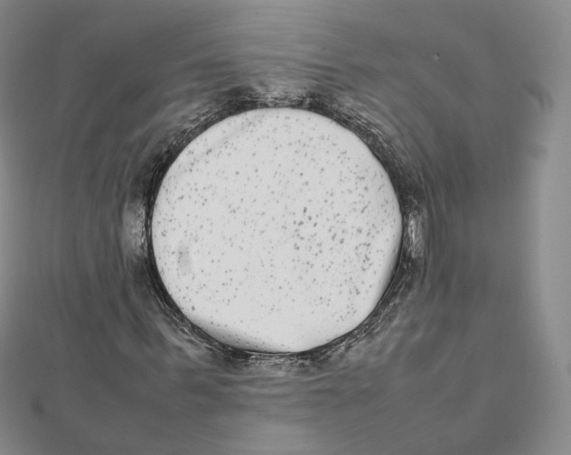 X0000112070963200909011019