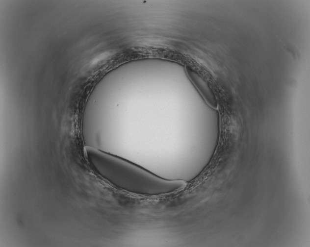 X0000112070965200909011019
