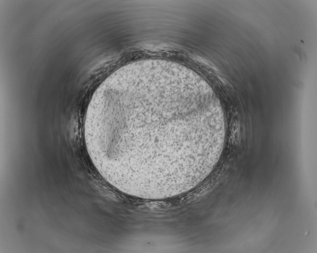 X0000112070966200909011019