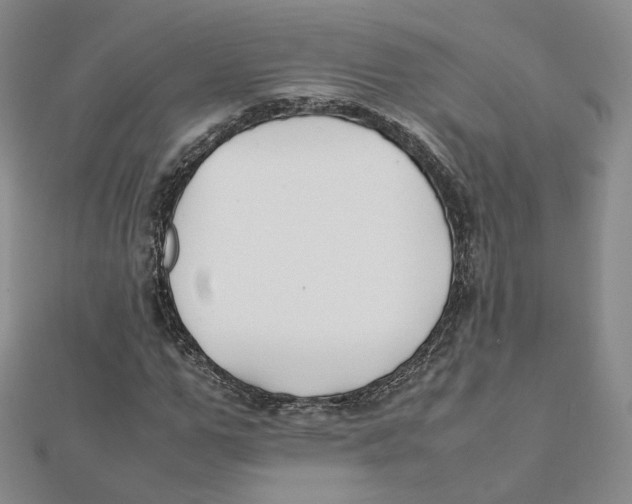 X0000112070967200909011019
