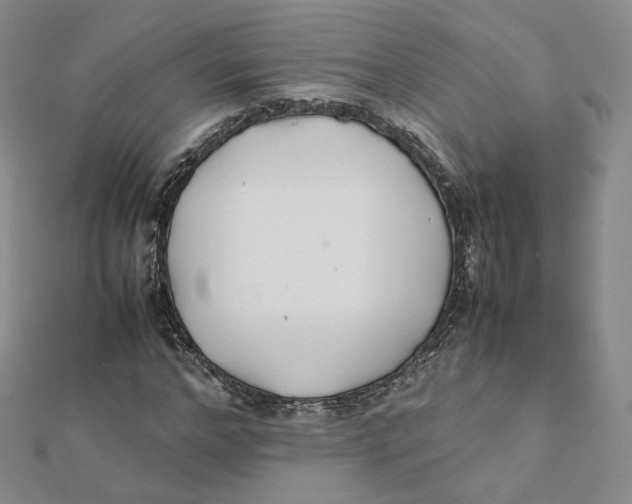 X0000112070968200909011019