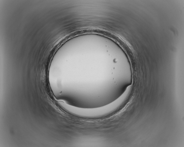 X0000112070969200909011019