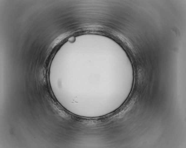 X0000112070970200909011019