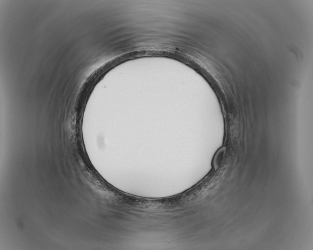 X0000112070971200909011019