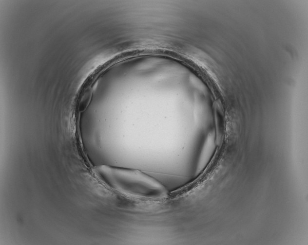 X0000112070973200909011019