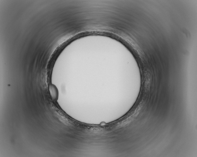 X0000112070974200909011019