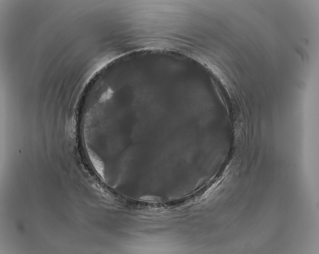 X0000112070975200909011019