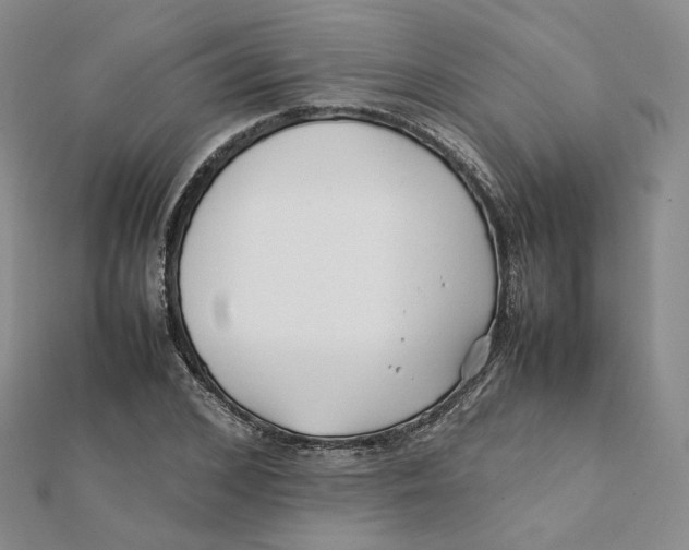 X0000112070976200909011019