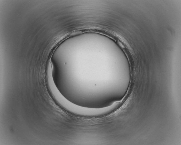 X0000112070977200909011019