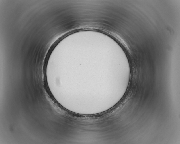X0000112070980200909011019
