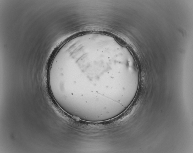 X0000112070981200909011019