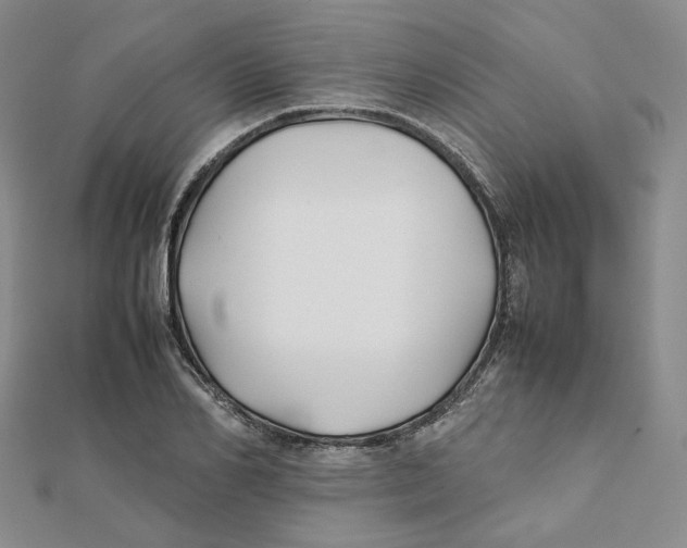 X0000112070982200909011019