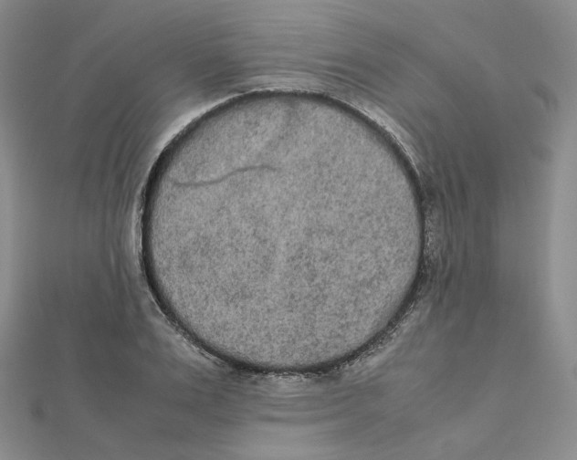 X0000112070983200909011019