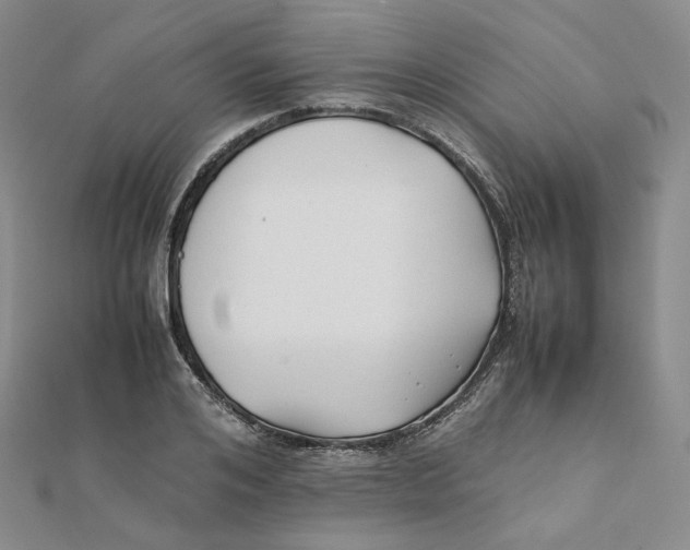 X0000112070984200909011019