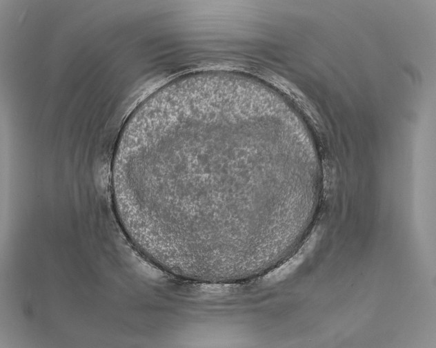 X0000112070985200909011019