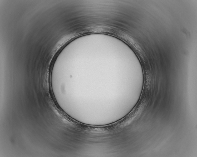 X0000112070986200909011019