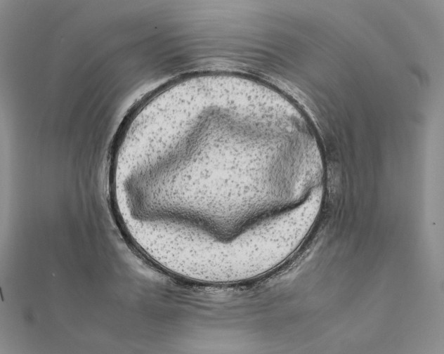 X0000112070987200909011019