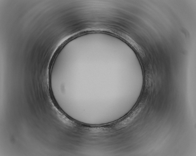 X0000112070988200909011019