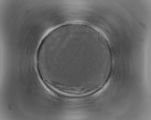 X0000112070989200909011019