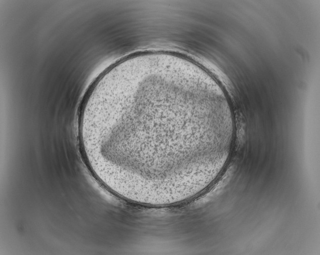 X0000112070990200909011019