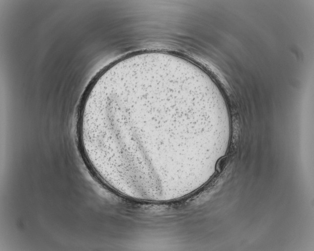 X0000112070991200909011019