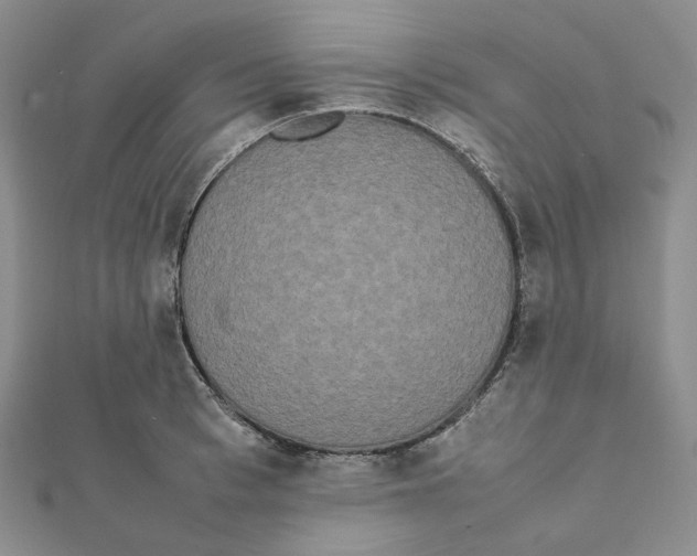 X0000112070993200909011019