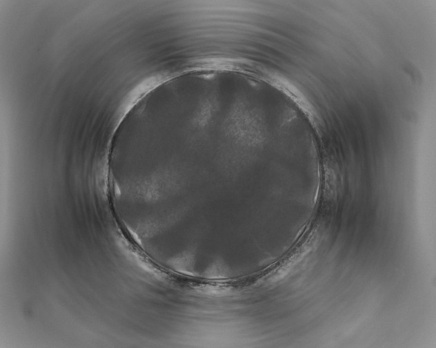 X0000112070994200909011019