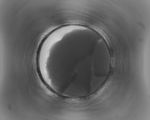 X0000112070995200909011019